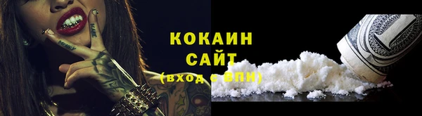 индика Аркадак