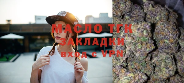 индика Аркадак
