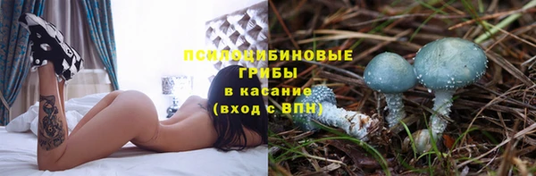 Альфа ПВП Армянск