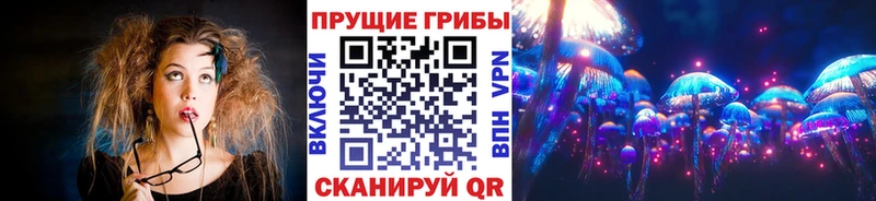 Псилоцибиновые грибы Psilocybe Опочка